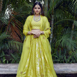 Lime green Banarasi Lehenga