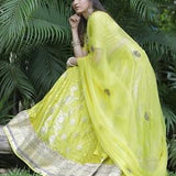 Lime green Banarasi Lehenga