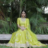 Lime green Banarasi Lehenga