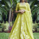 Lime green Banarasi Lehenga